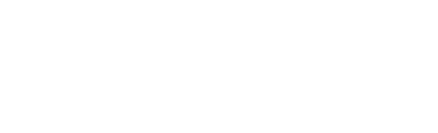 Sole Consulting
